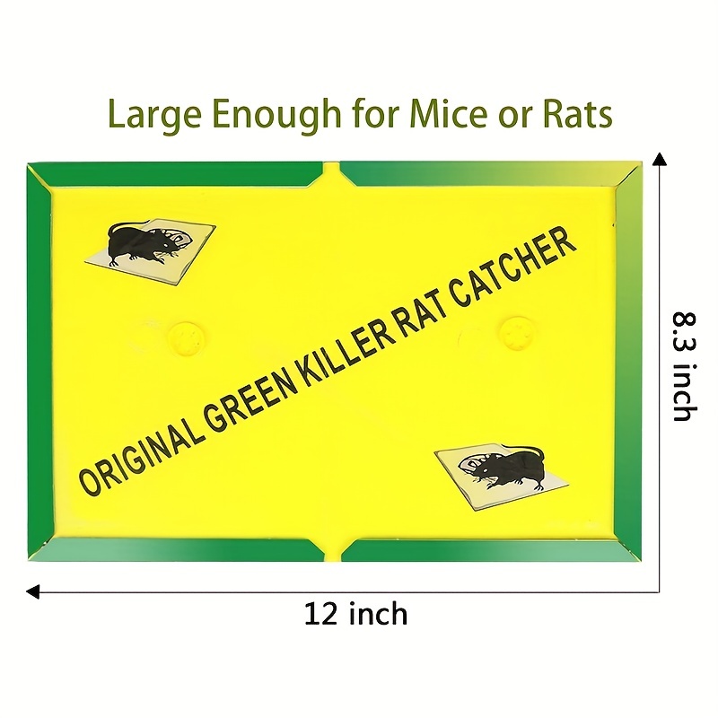 Mouse Trap Glue Pad