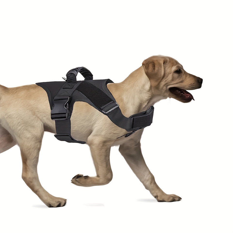 Dog 2025 combat harness