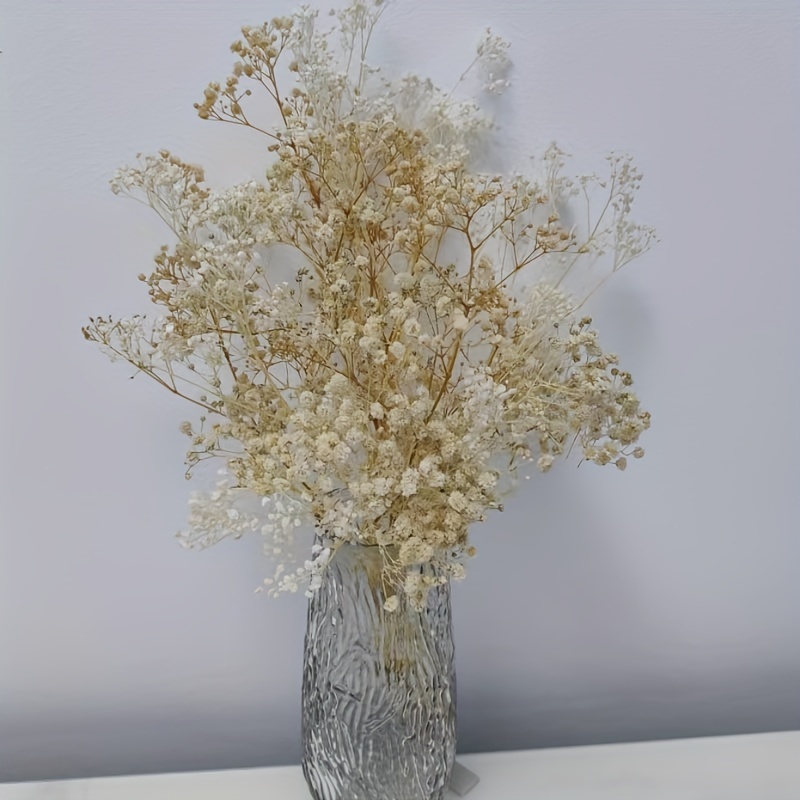 Dried Flowers Babys Breath Bouquet Ivory White Flowers Natural