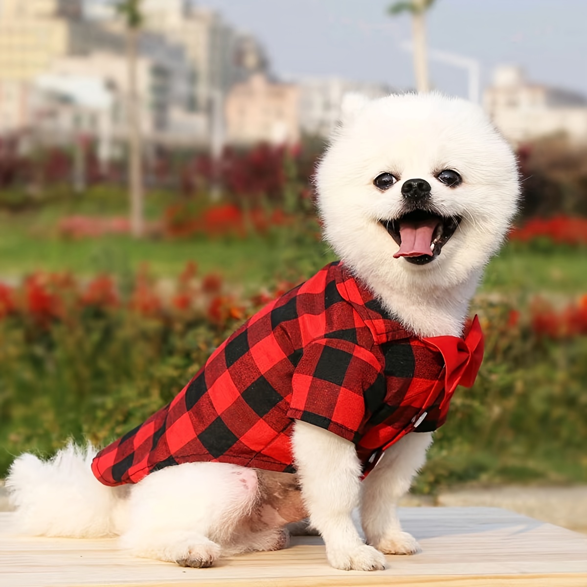 Dog Blazer Jacket Cat Preppy Style Coat with Tie Small Medium Dogs