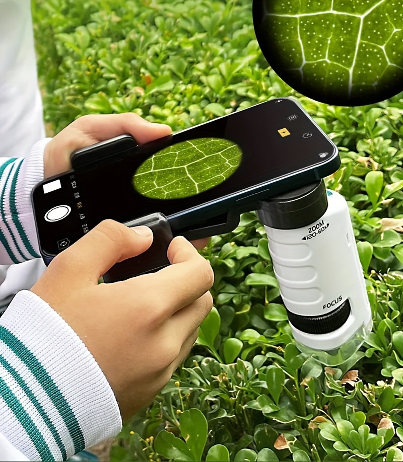 Mini Microscope Électrique De Microscope De Poche 60-120x, Avec Lumière Led Microscope  Portable Haute Définition Pour Enfants, Avec Spécimens Pour Enfants  Étudiants Observation Microbiologique Apprentissage - Commerce Et Industrie  - Temu