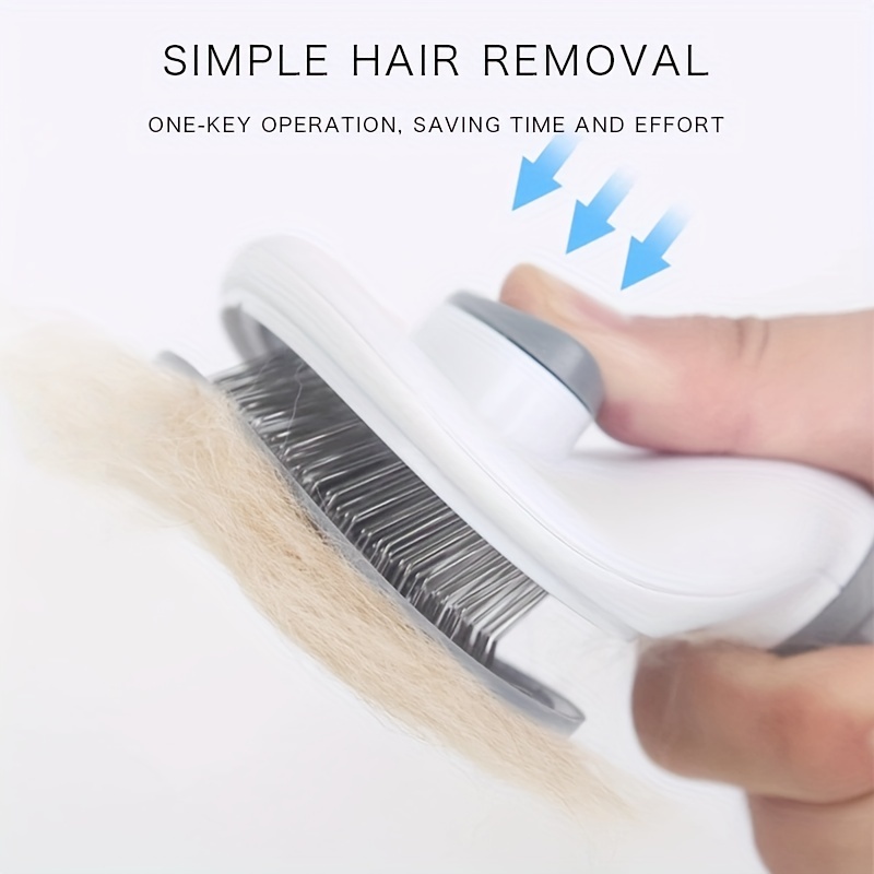 Cleaning Thin Slicker Brush