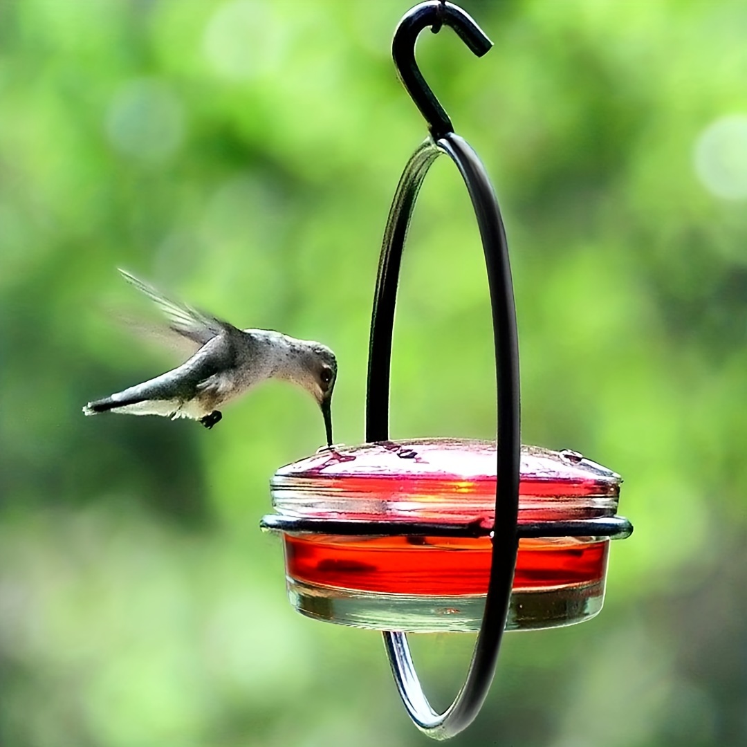 

1pc Beautiful Hanging Hummingbird Feeder, Metal Bottle Humming Bird Feeder With Circular Metal Frame And Perch