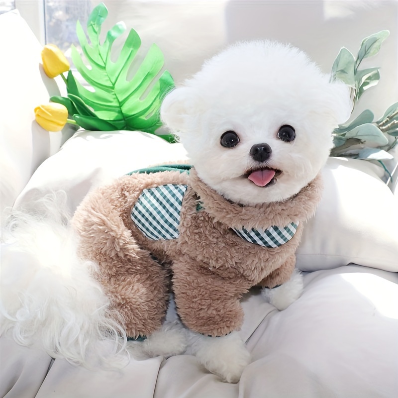 Pomeranian best sale boy clothes