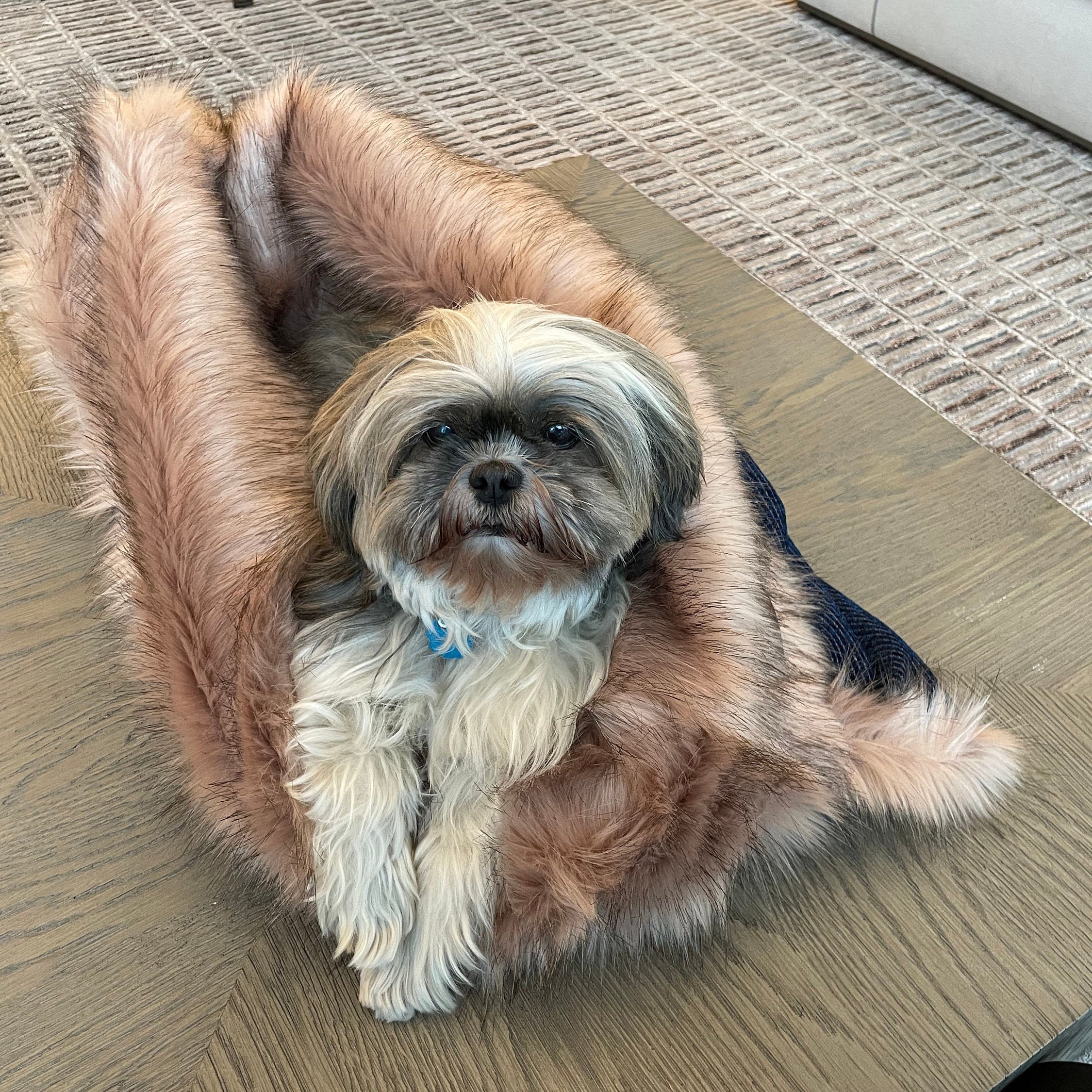 Faux Fur Pet Bed Anti anxiety Dog Bed Dark Blue Pet Bed Temu