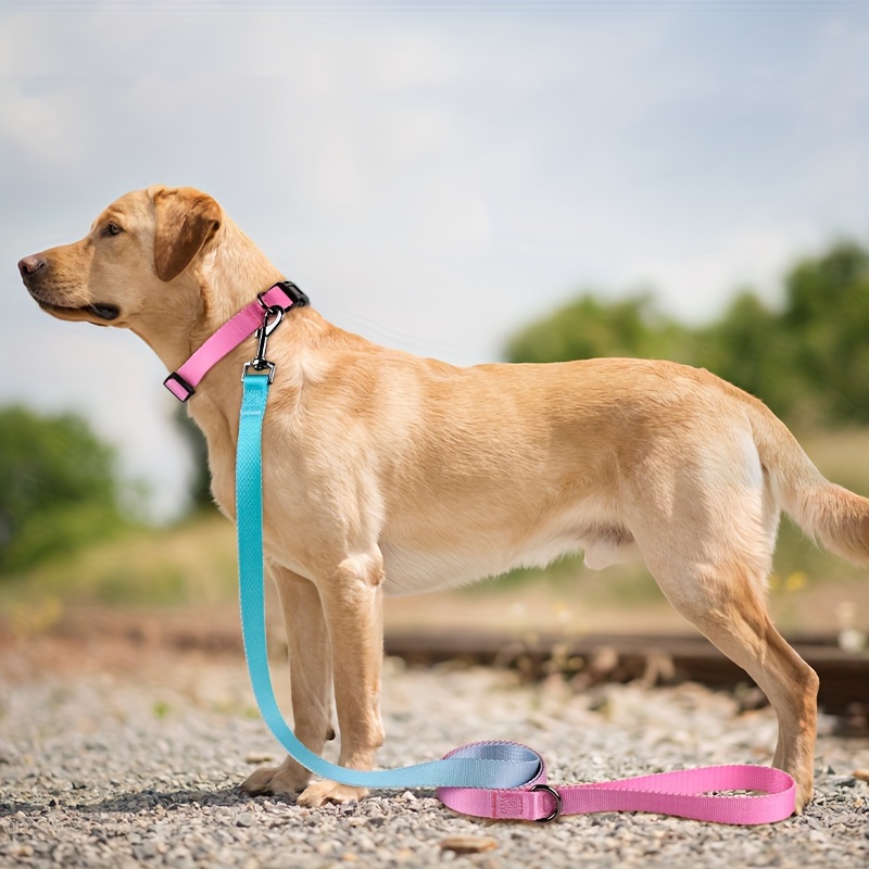 Dog clearance neck ring