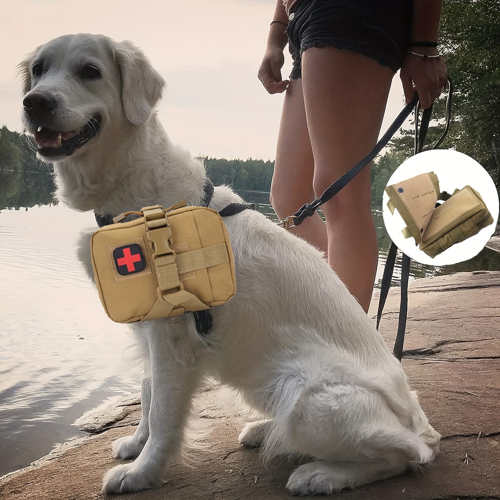 Trousse de premier secours pour chiens