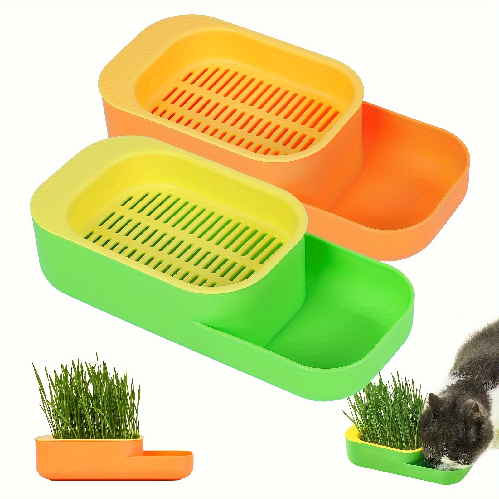 Boîte à herbe pour chat Plateau à collation pour chat Boîte à planter de