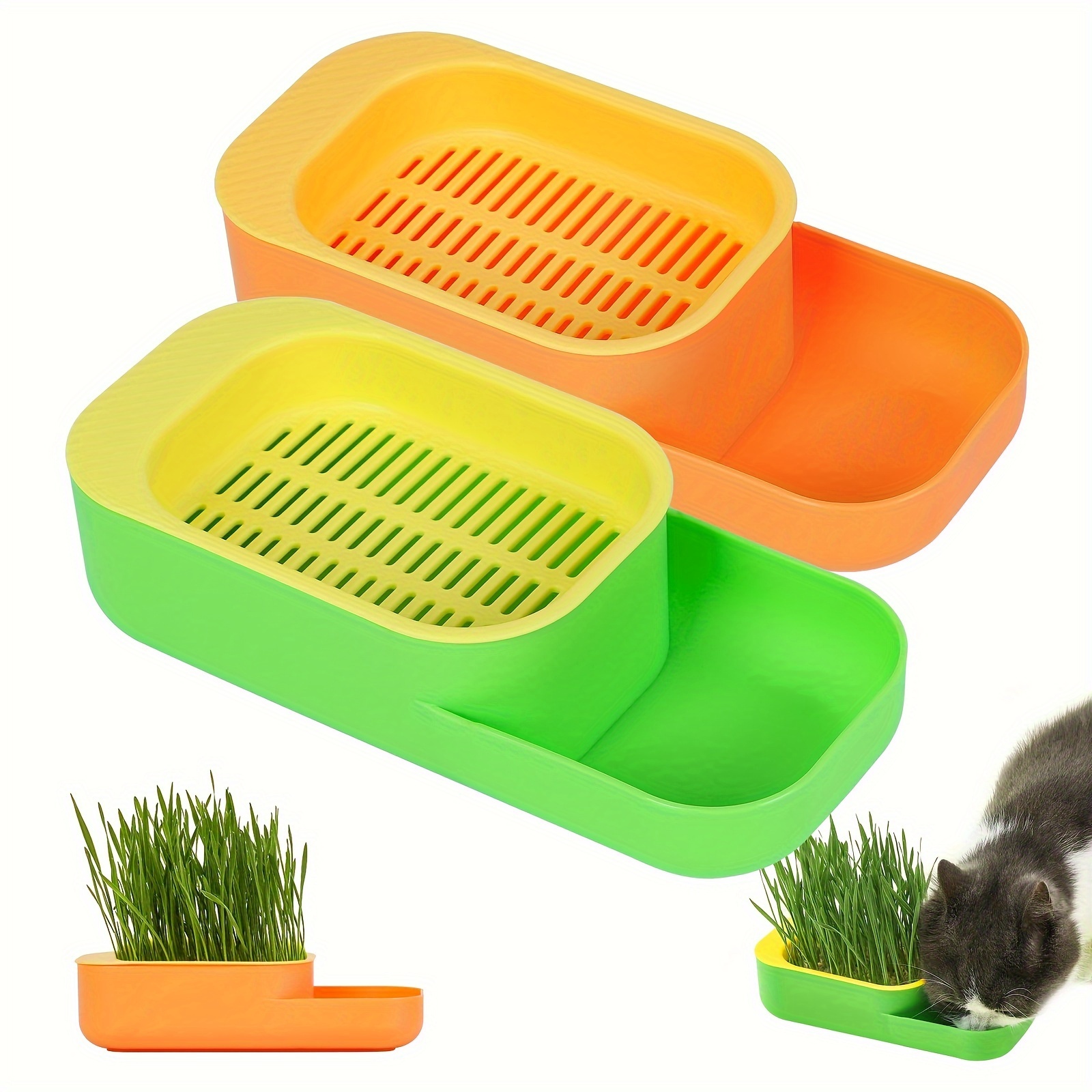 1pc Pot De Culture Hydroponique Pour Herbe À Chat Pour Une Digestion  Améliorée Et Une Santé Optimale Kit De Culture D'herbe À Chat Pot De  Culture D'herbe À Chat (sans Graines) 