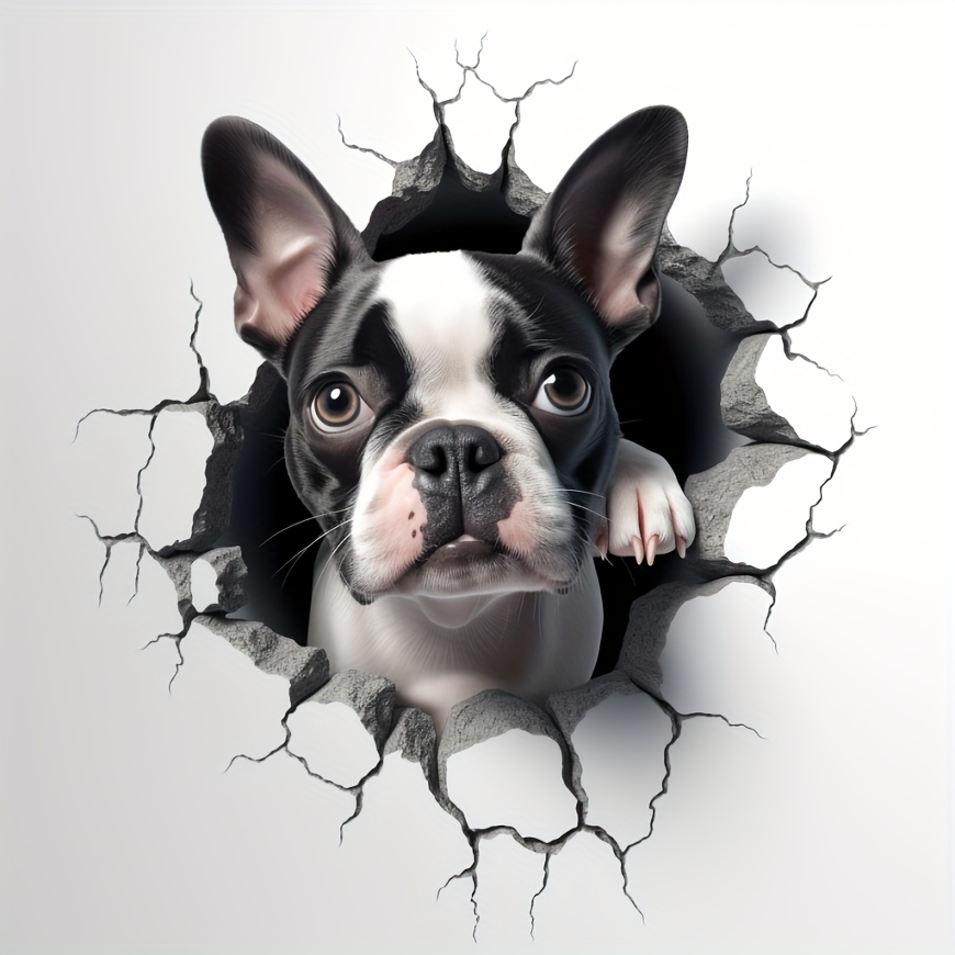 Boston terrier shop car decal