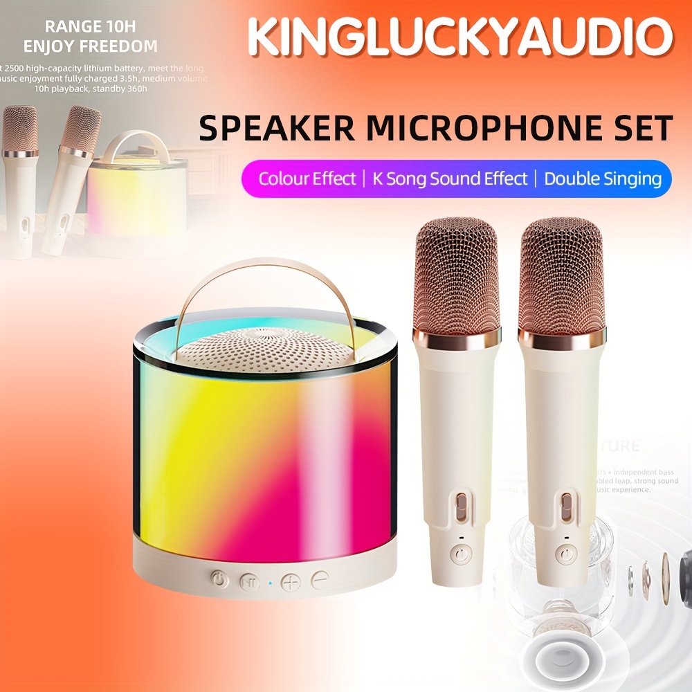Set de karaoké Bluetooth professionnel avec 2 Microphones sans fil
