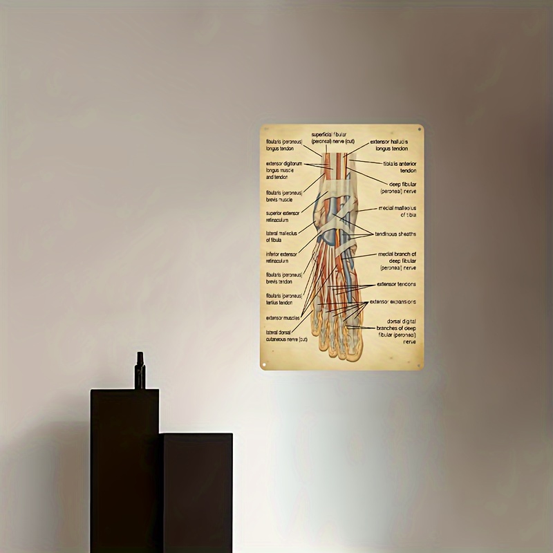 Thorax Anatomy Metal Tin Signs Cardiology Retro Posters Doctor Office Guide  Plaque Home Clinic Hospital Room Wall Decor 8x12 Inches : : Home