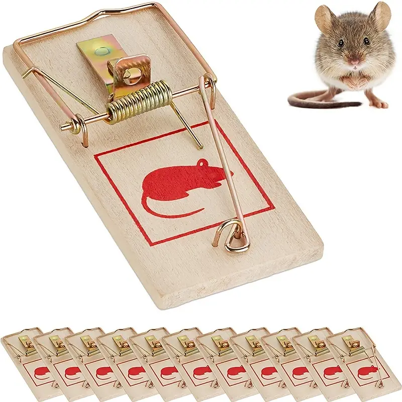 Wooden Mouse Trap