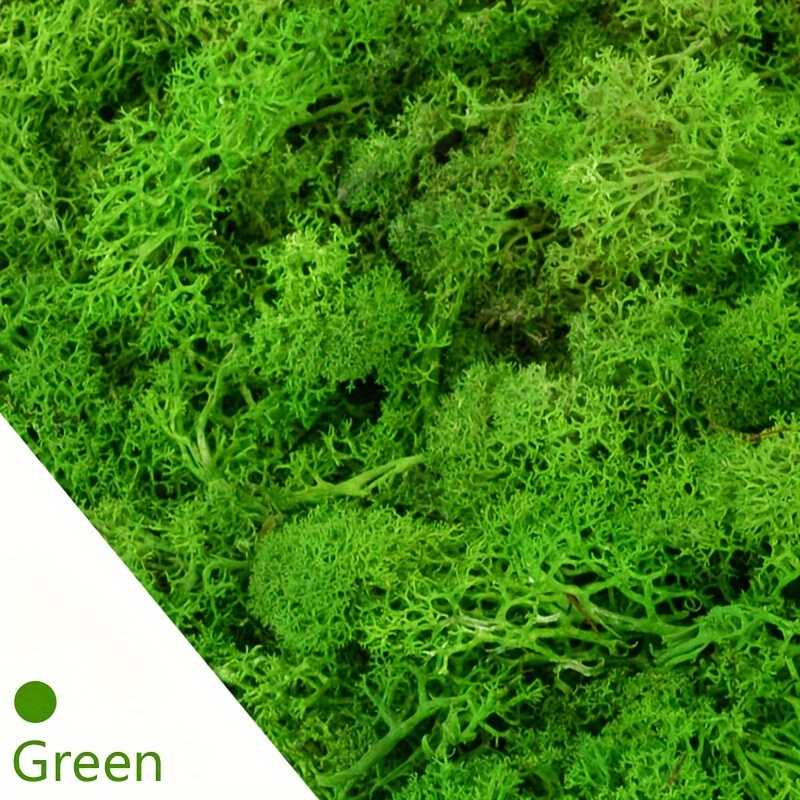 0.88 Oz Artificial Fake Moss, Green Reindeer Moss Lawn For  Plants,simulation Moss Turf Landscaping, Biomimetic Artificial Moss Micro  Landscape Layout, Lawn Bonsai, Potted Plant Pavement Decoration,craft  Decorative Moss Decor, Dried Moss