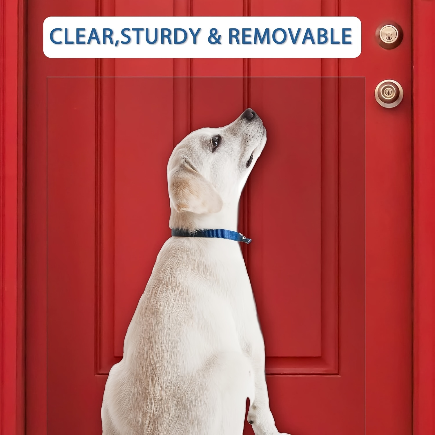 Protector de puerta para perros, cinta disuasoria de alta calidad,  transparente, para rascar - AliExpress