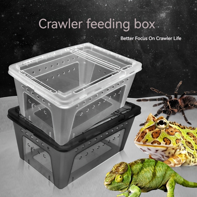 Reptile Breeding Box Dedicated Aquarium Thermometer Suction - Temu