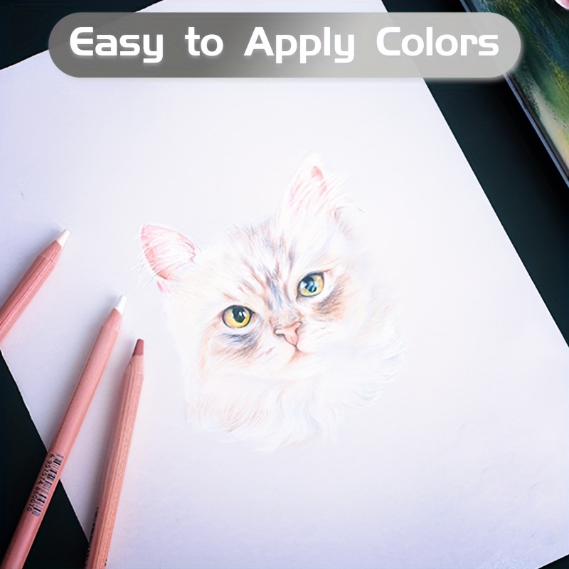 Professional Color Charcoal Pencils Drawing Set - Temu