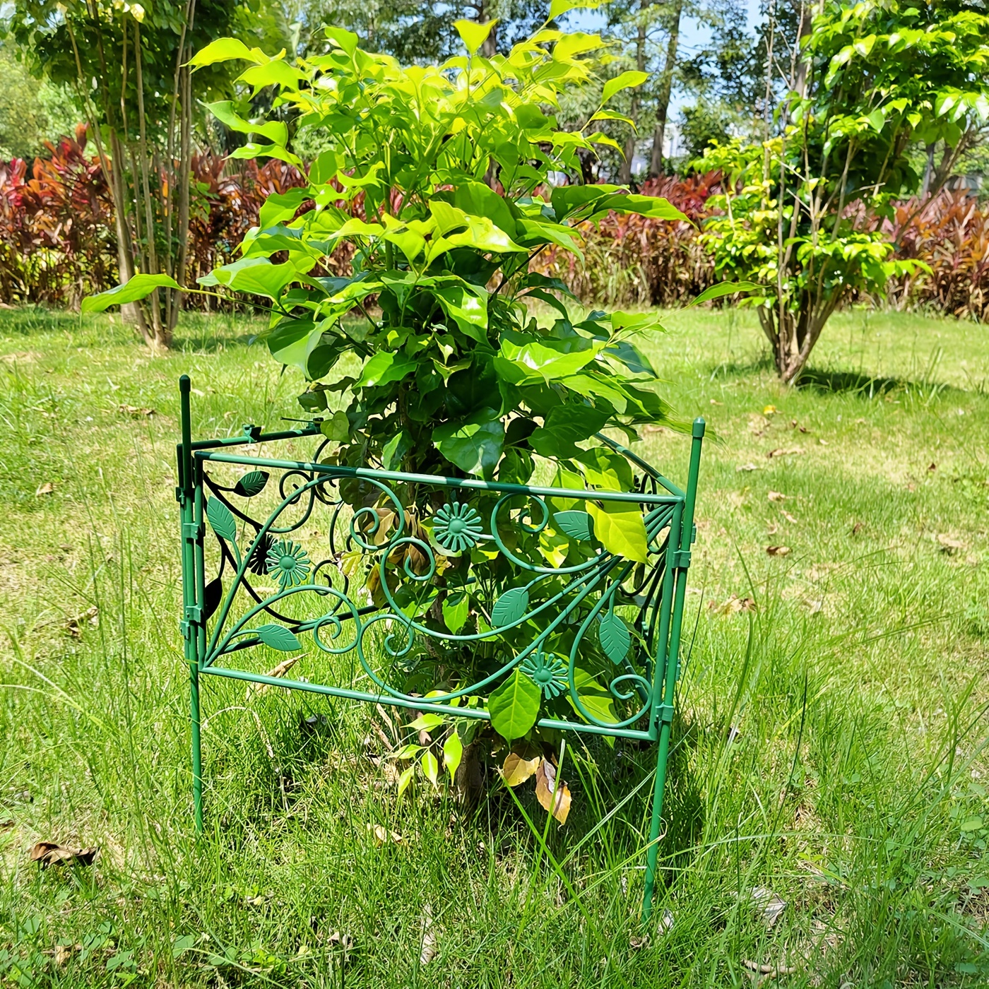 Clip per piante rampicanti,Pinze per piante vigne,Clip per piante,Clip