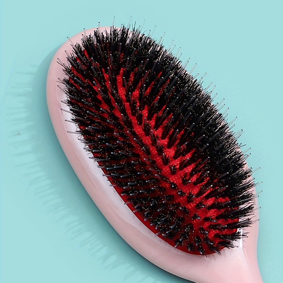 Egg Shape Hair Brush Anti Knot Comb Detangling Brush for Curly and