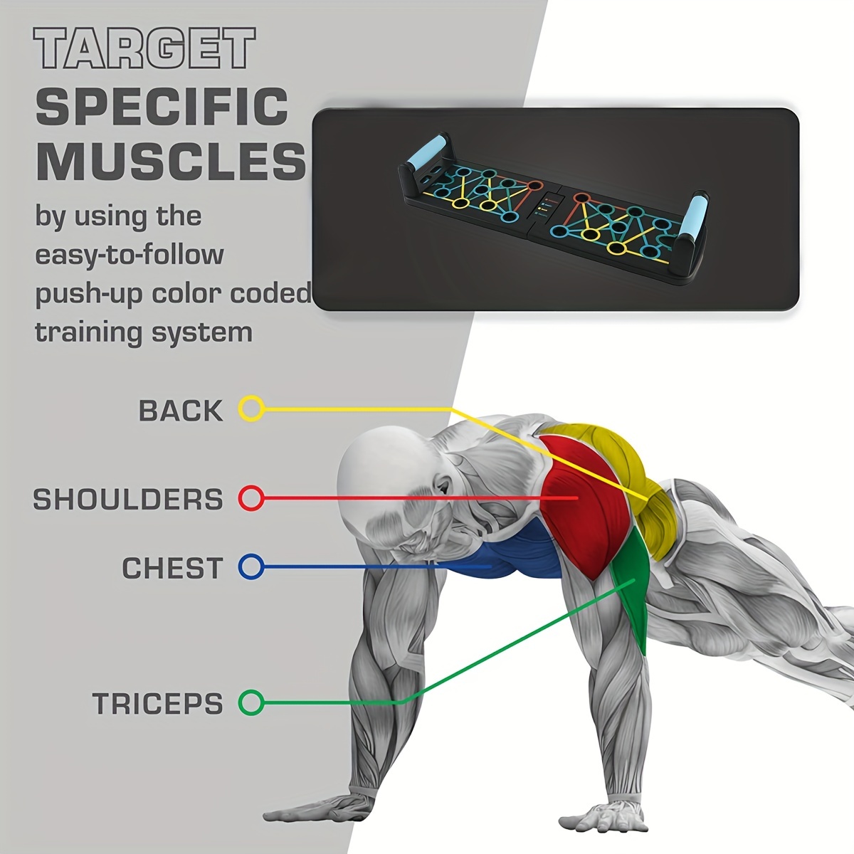 Color coded Push Up Board For Effective Strength Training - Temu