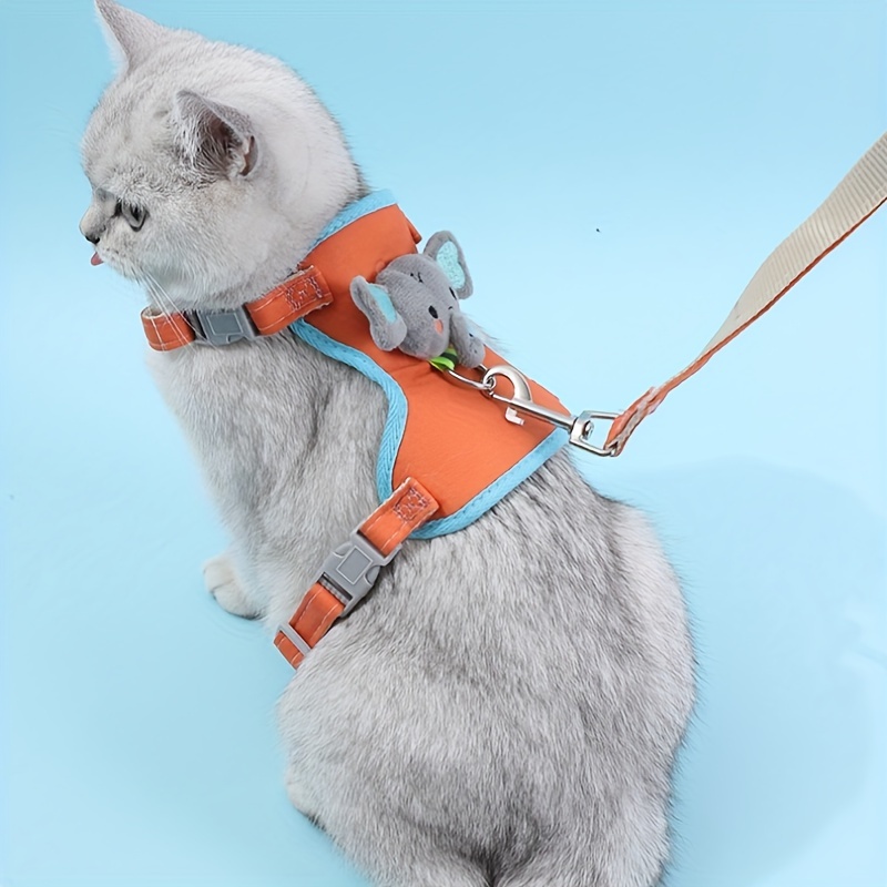 Gey jinsiy aloqa rasmlar