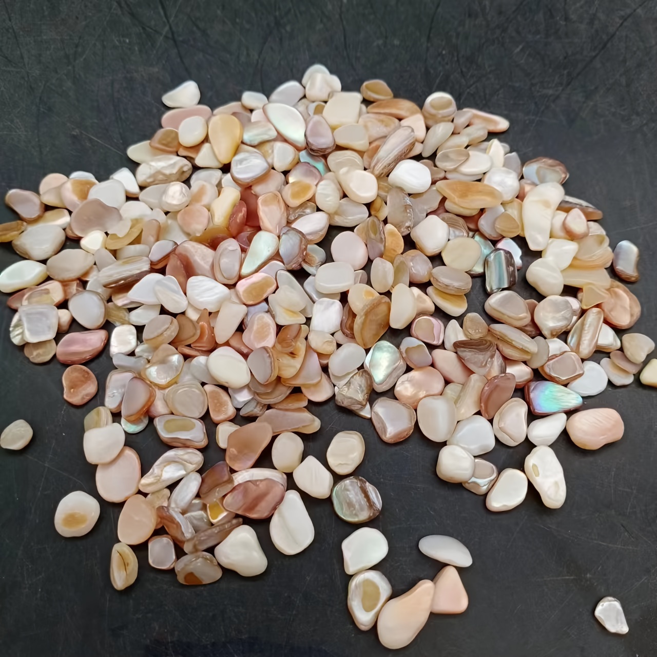 30グラムの砕いた貝殻、ボトル入り - arts, crafts & sewing - Temu Japan