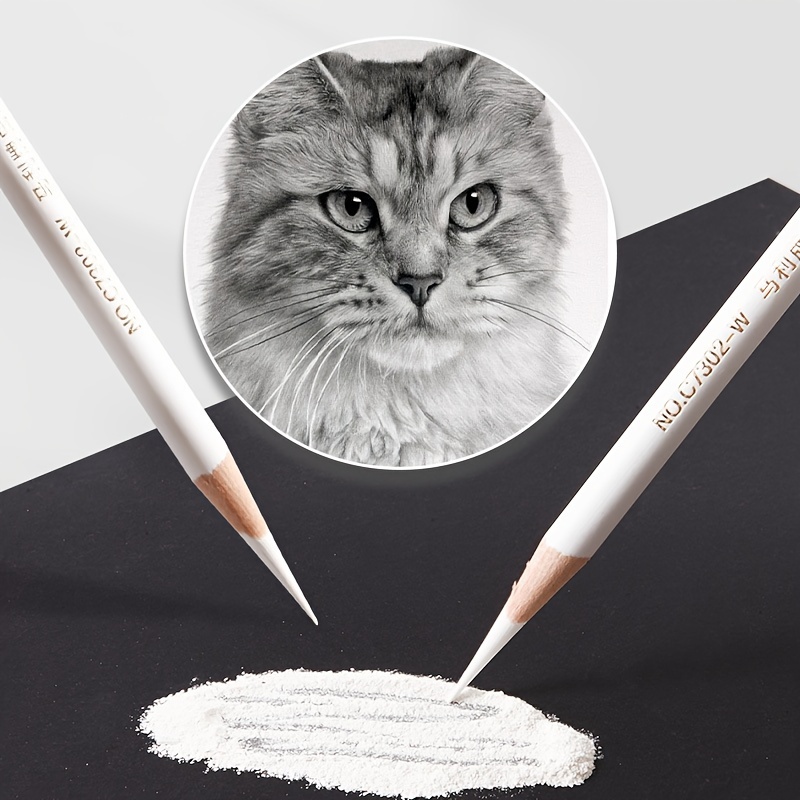 3pcs White Sketch Charcoal Pencils for Sketching Painting Draw_i4