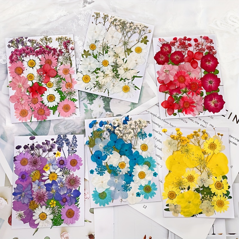 Dried Pressed Flowers For Crafts - Pressed Flowers Mix Pack - Dry
