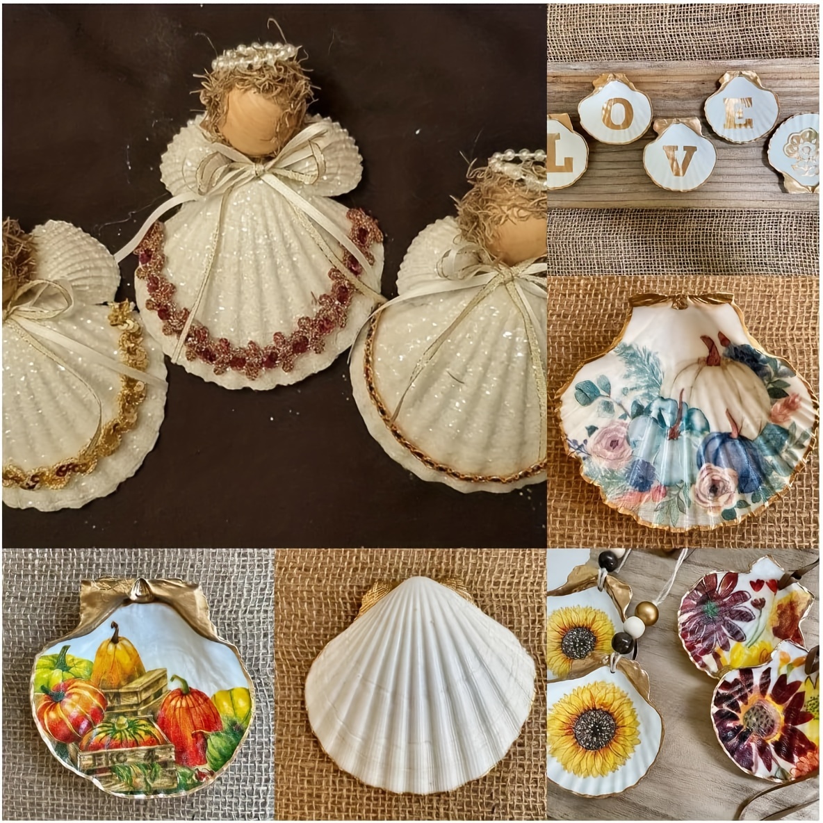 Artesanías de conchas de mar naturales, Decoración de conchas de mar, Materiales de artesanía