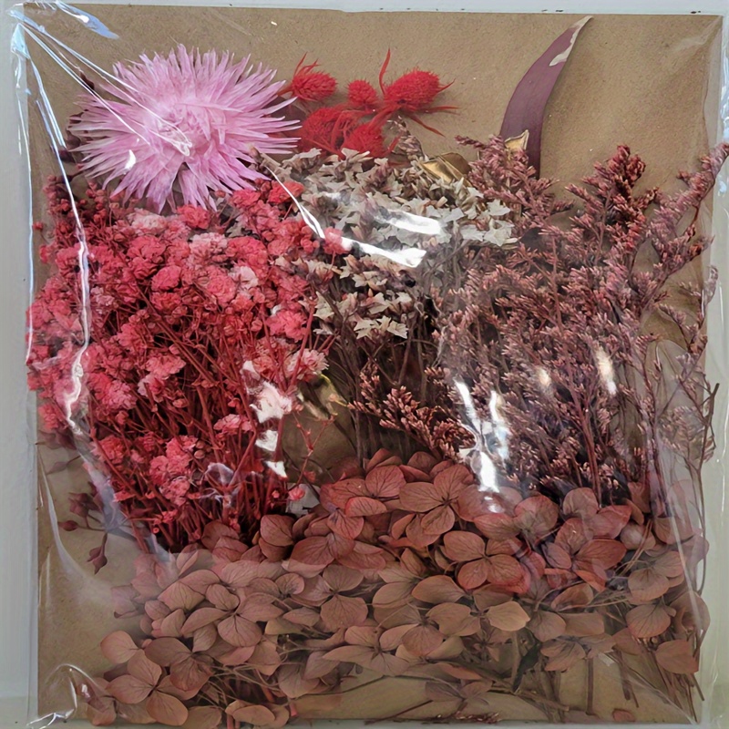 Dried Real Flowers for Crafts Pressed Pink Chrysanthemum Dry