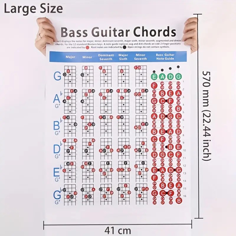 Bass Guitar Quick-Reference Chord and Scale Chart Spectrum Portable Chords  Cheat Sheet Paper Chord Finger Diagram Fingering Practice Picure
