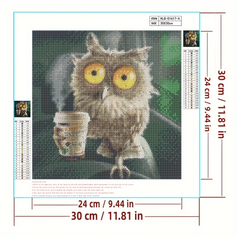 16 Inches DIY 5D Diamond Painting Kits with Diamond Painting Tool and  Introductions Colorful Crystal Owl Diamond Painting Set DIY Art Craft Home  Wall