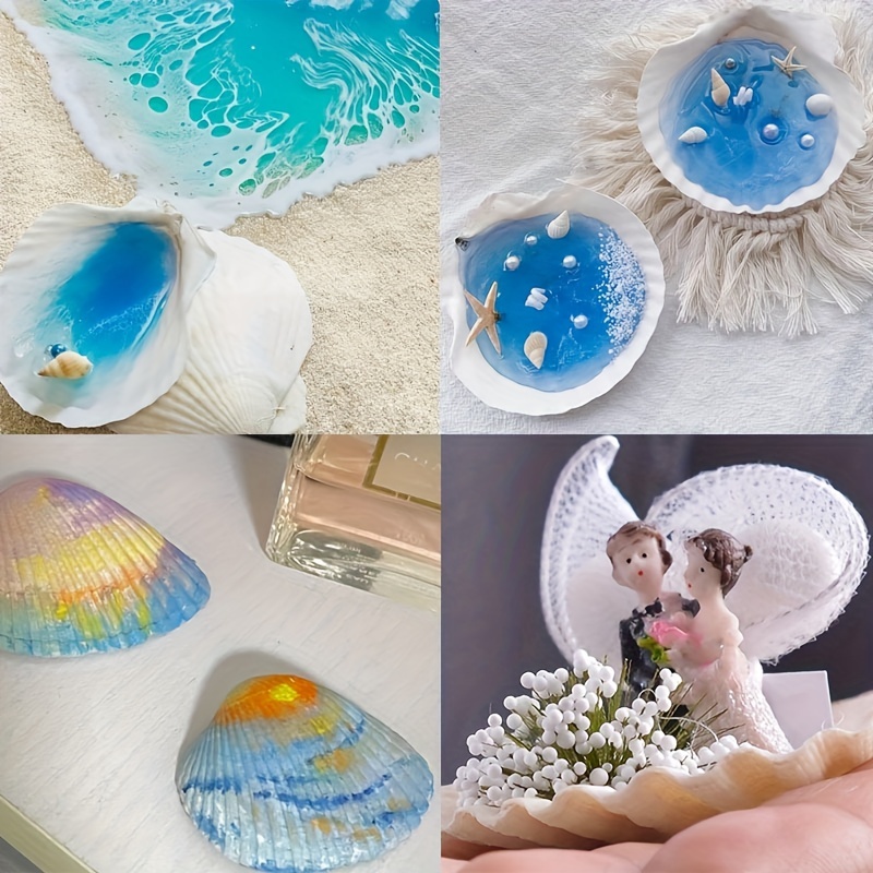 Buy Tiny Seashells and Small Shells for Crafts Under 3 inches