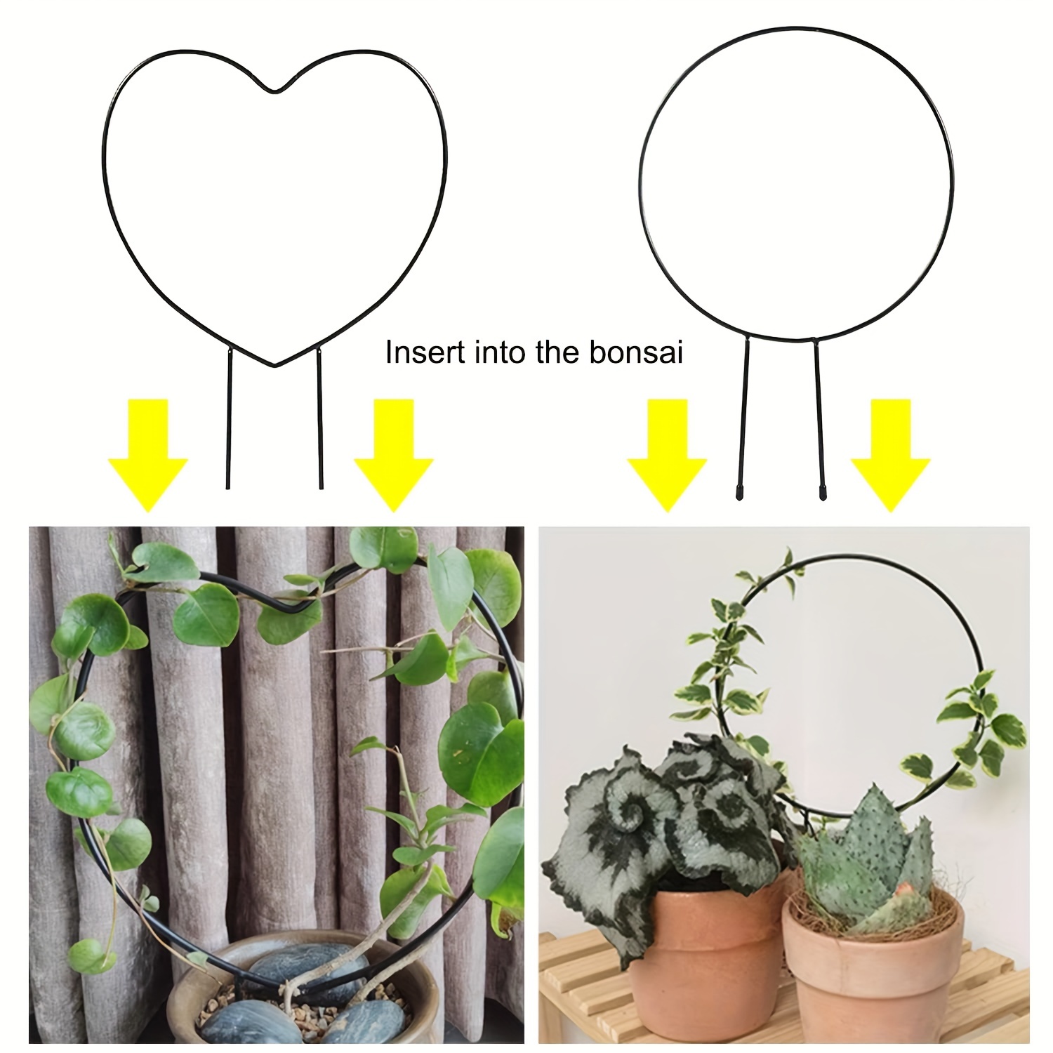 String of hearts on a heart-shaped trellis : r/plants