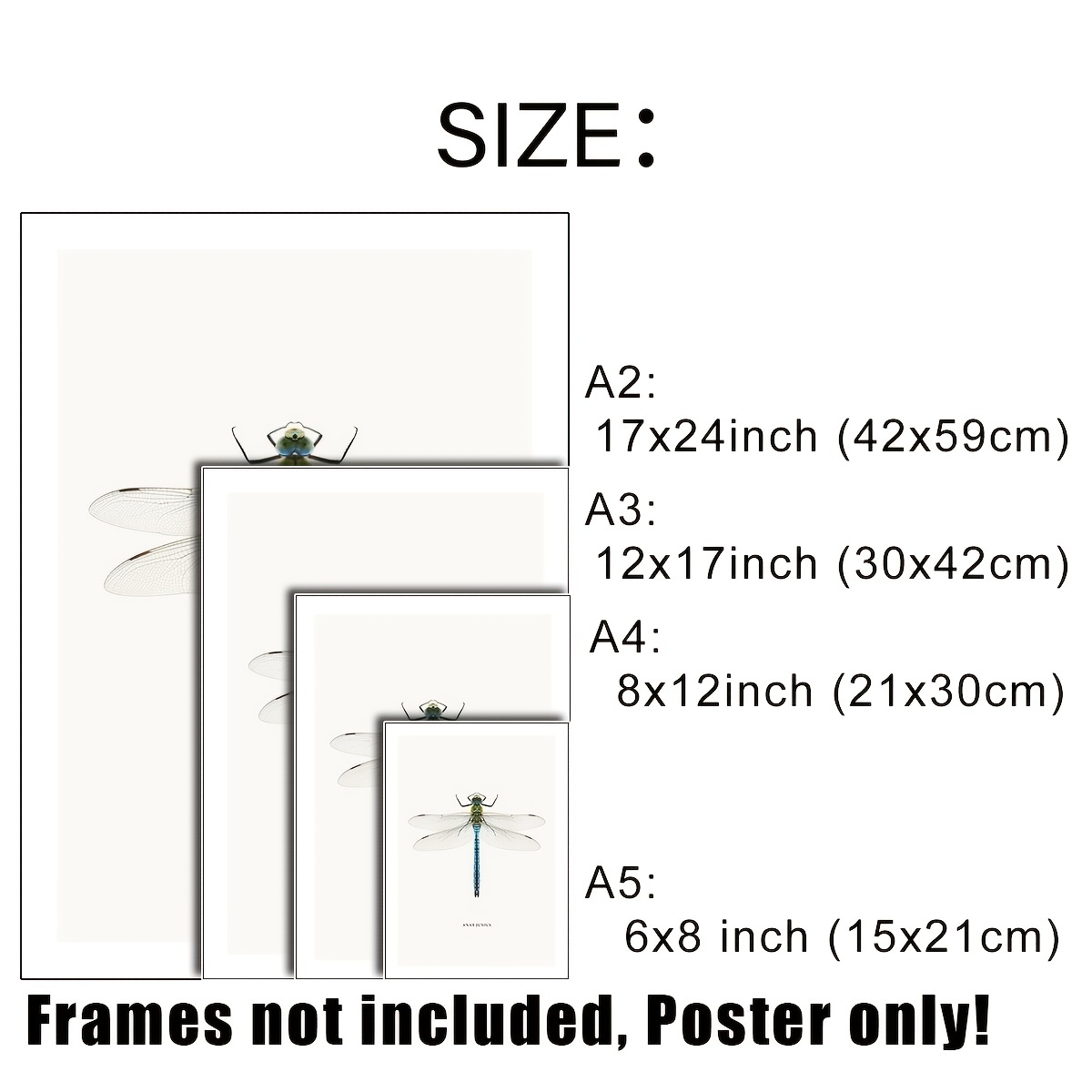 6pcs Dragonfly Specimen Art Posters for Home Decor - A5 A4 A3 A2 Sizes