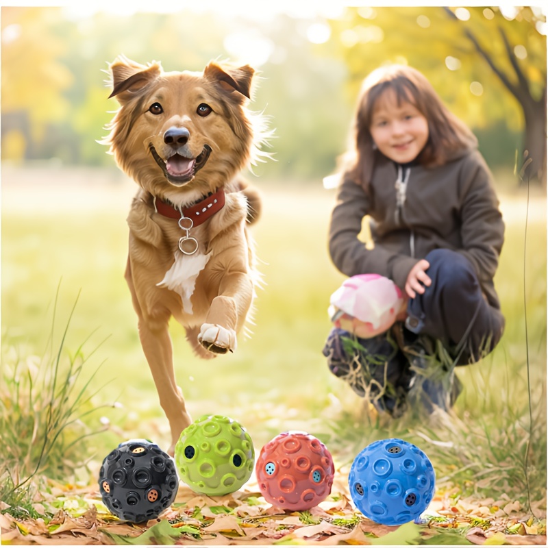 Pet Squeaky Toy Ball Dog Toys