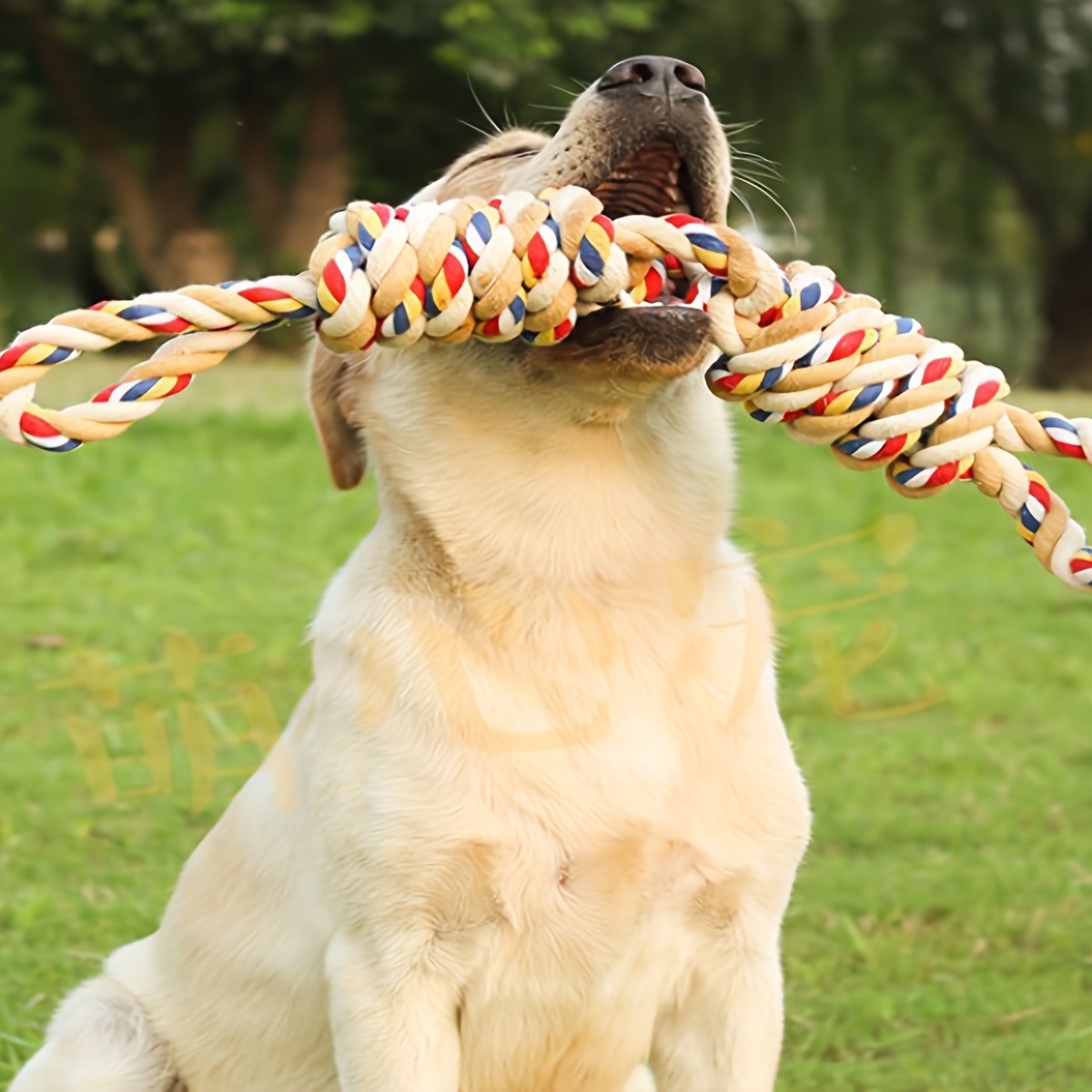 Flirt Pole for Dogs w/ Safe & Strong Non-Bungee Cord, Telescopic Lure Stick  for Dogs of Any Size, Dog Toy for Fun Obedience Training & Exercise