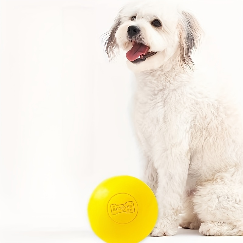 Interactive Ball Dog Toy for Aggressive Chewers Training