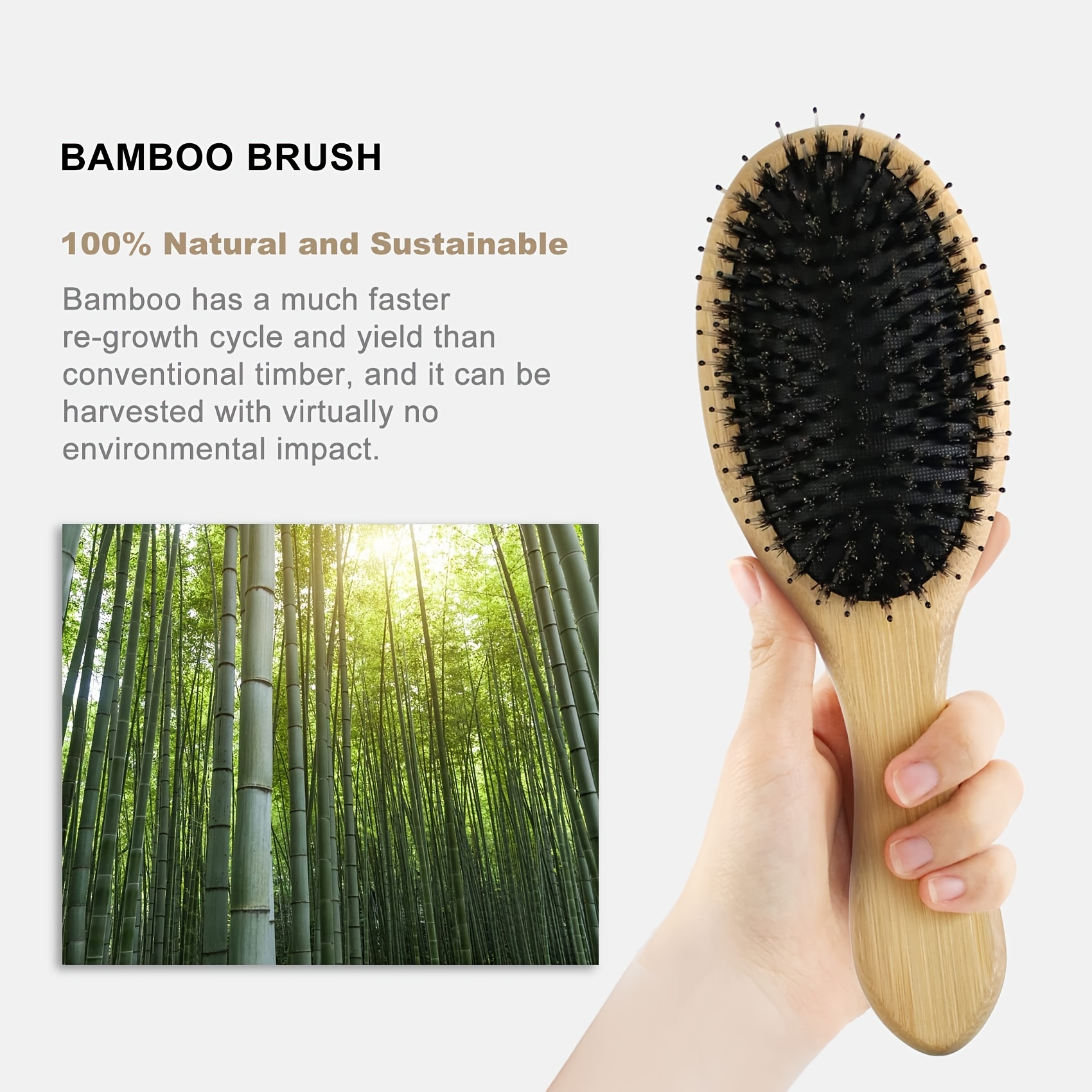 Hair Brush Boar Bristle Hairbrush for Thick Curly Thin Long Short Wet or  Dry Hair Adds Shine and Makes Hair Smooth, Best Paddle Hair Brush for Men