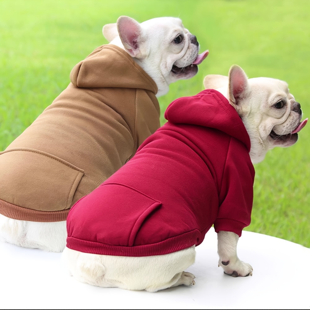 clothes for medium dogs