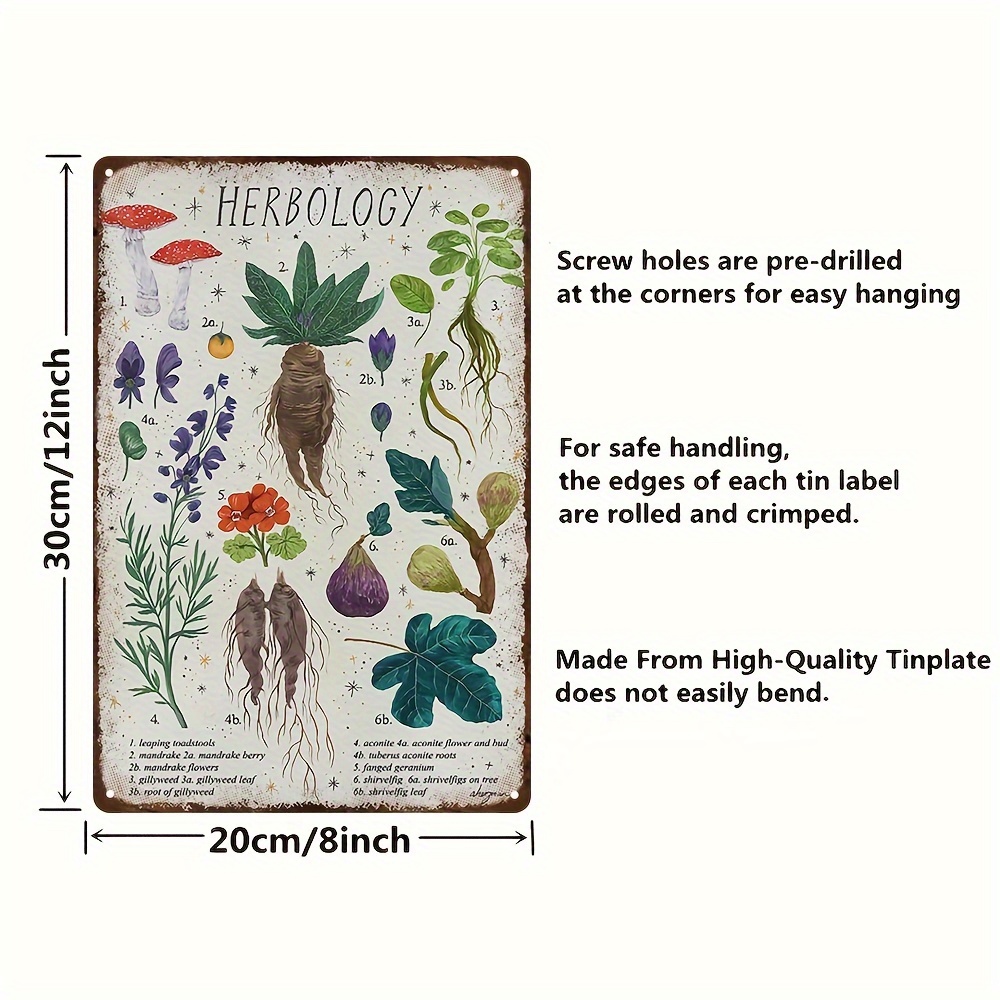 Poster The Mandrake - Herbology