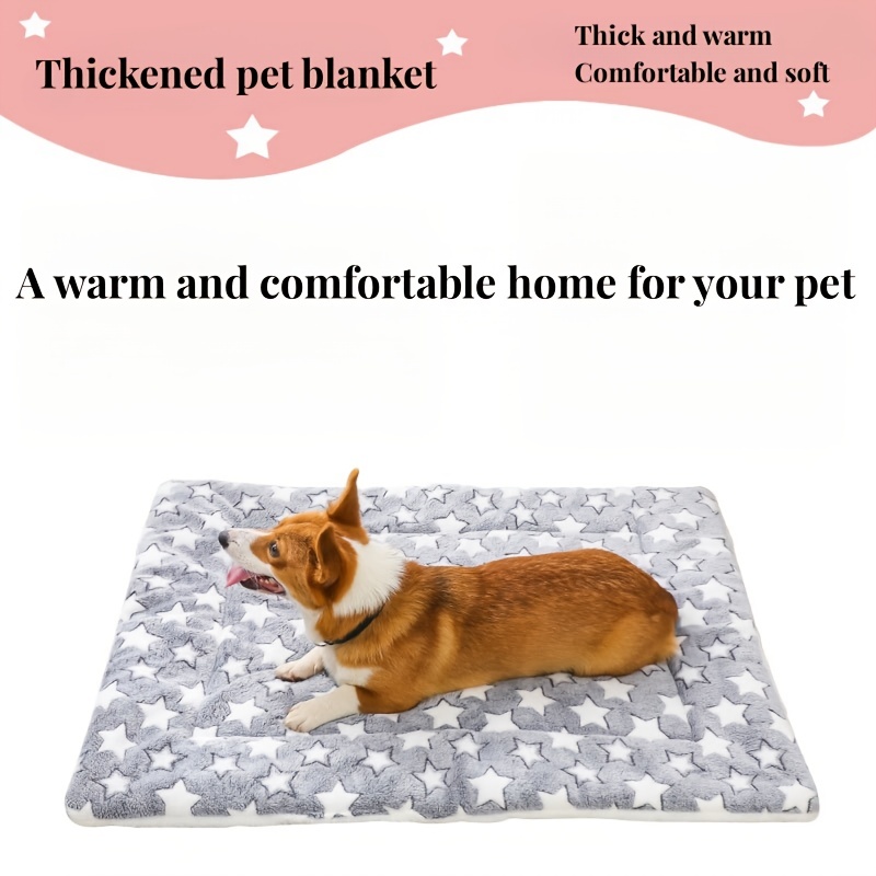 Thick on sale dog blanket