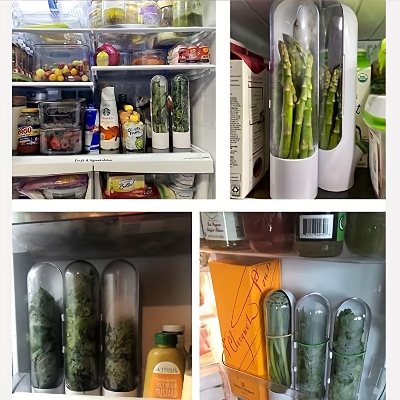 Herb Storage Containers For Refrigerator-1pc Kitchen Storage