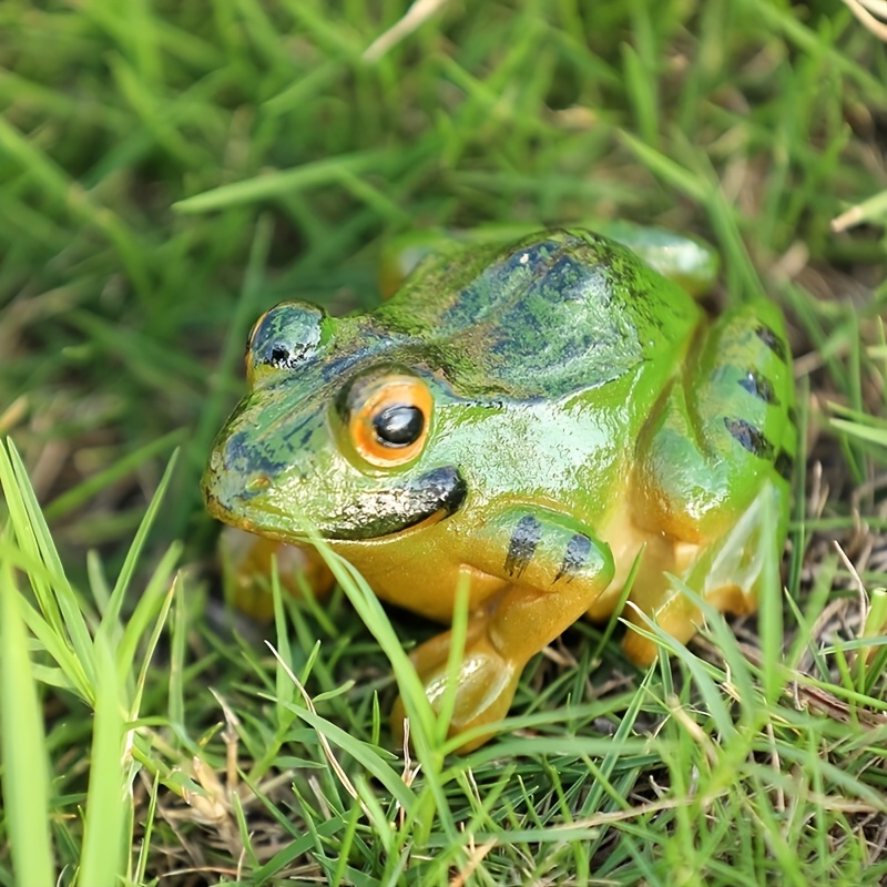 Simulation Frog Sculpture Mini Animal Ornament Desktop Resin - Temu