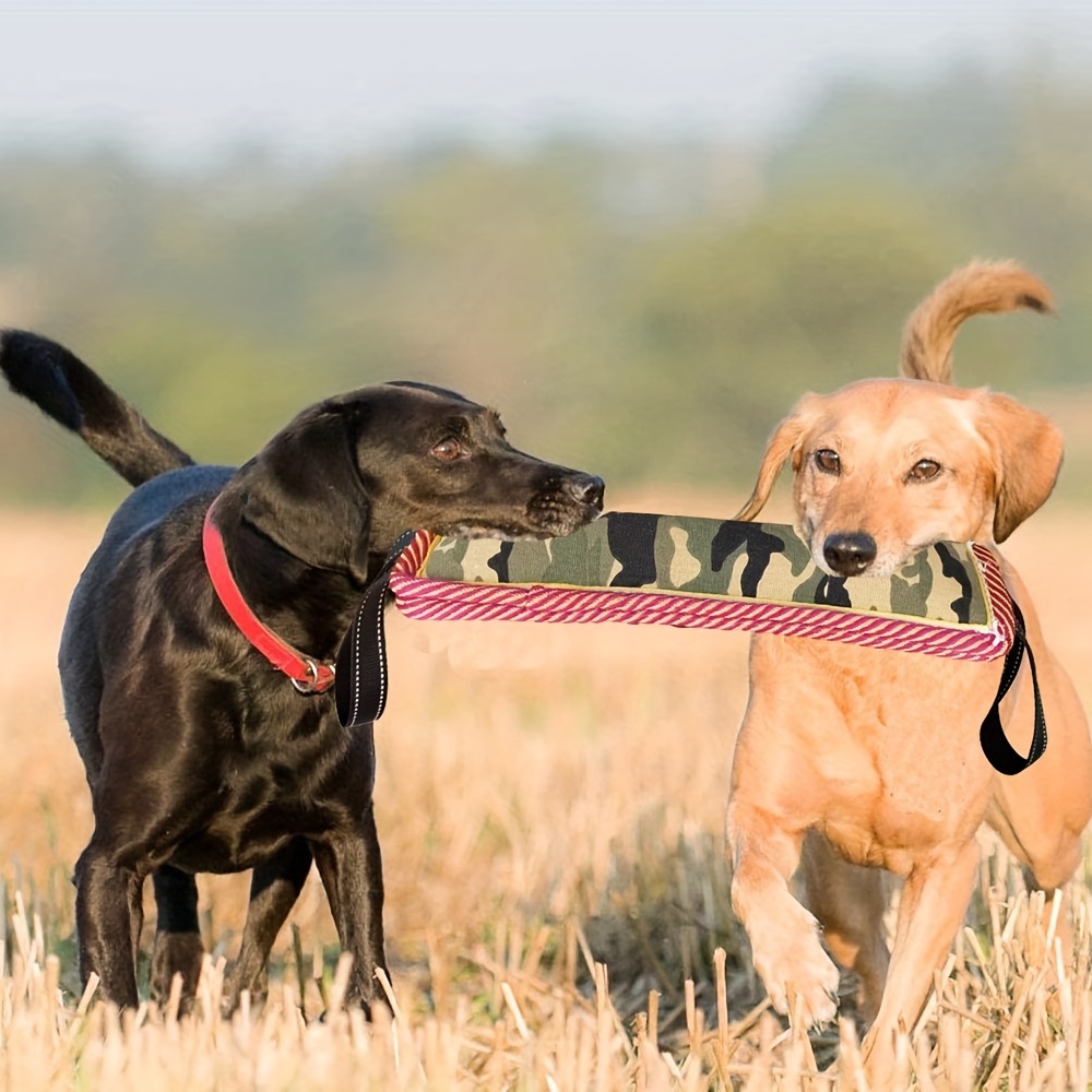 Durable Dog Chew Toys For Training And Exercise Teaser Stick - Temu