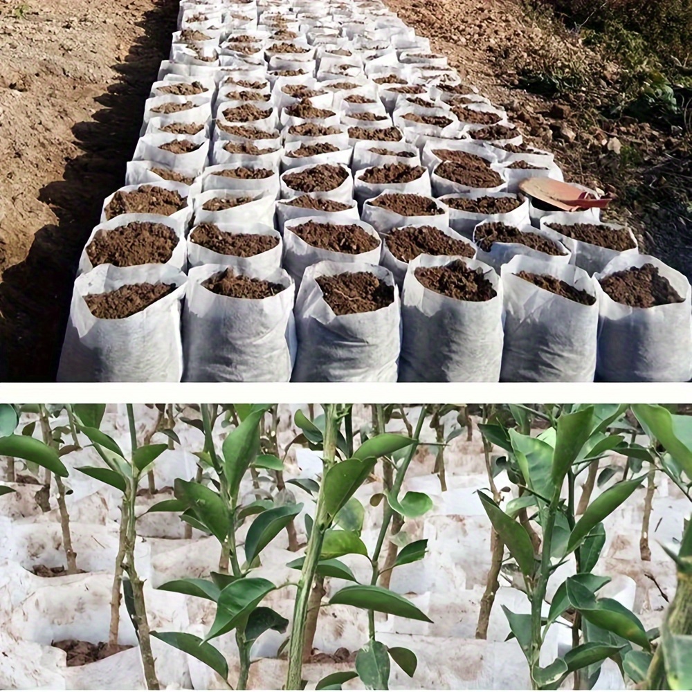 Biodegradable Seed Nursery Bags: Perfect For Home Garden Supply, Non-woven Plants  Grow Bags - Temu