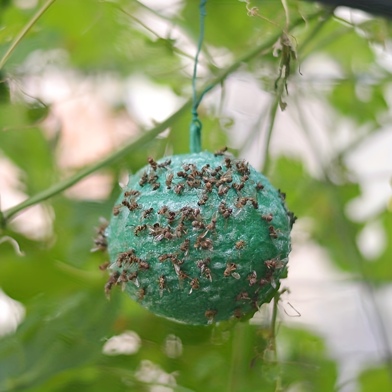 Sticky Insect Ball Fly Trap Mosquito Wasp Flying Insect - Temu