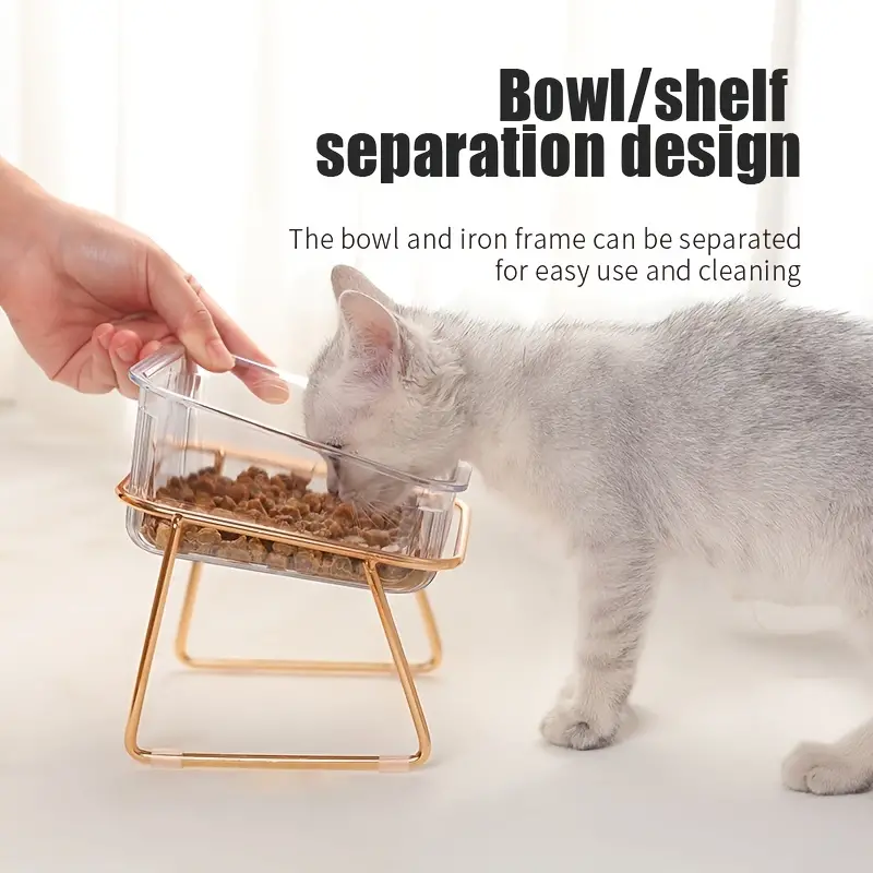 Transparent Double Cat Bowl With Vertical Design For Easy - Temu