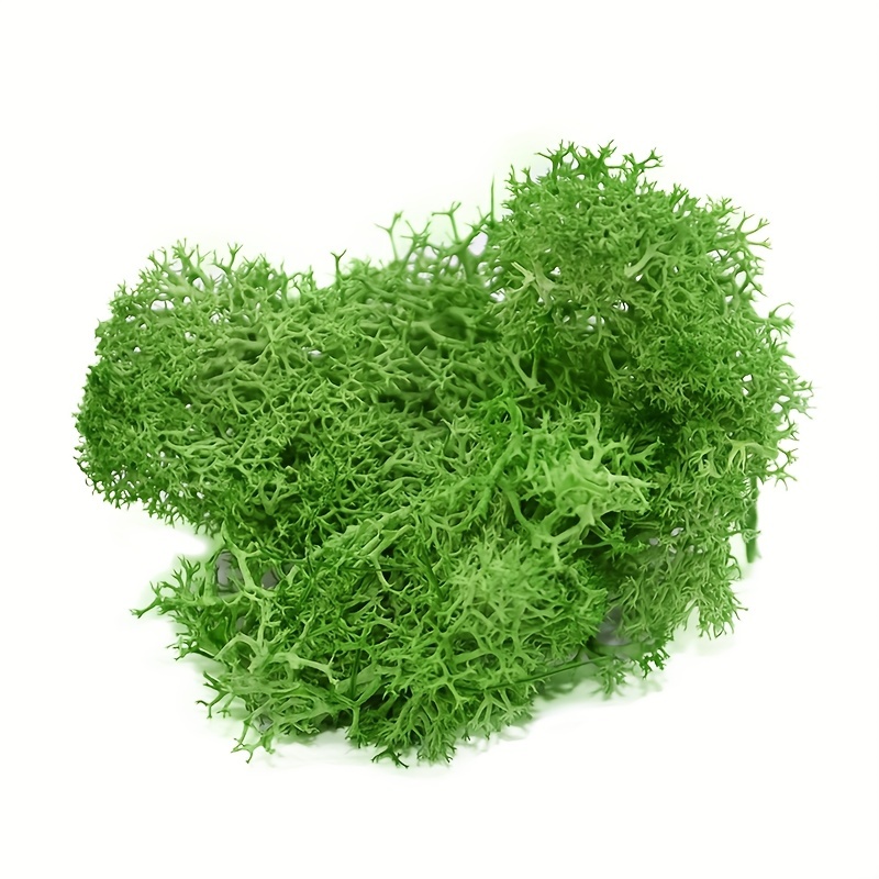 100g Natural Eternal Dried Moss For Plants Artificial Reindeer