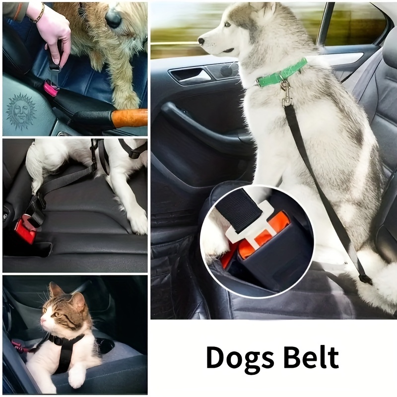 Verstellbarer Haustier-Katzen-Hunde-Auto-Sicherheitsgurt Haustier-Sitz-Fahrzeug-Hundegeschirr-Blei-Clip-Sicherheitshebel-Traktions-Hundehalsbänder  Hunde-Zubehör - Temu Germany